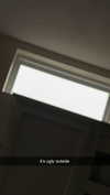 lew12001 Altpins Profile Picture