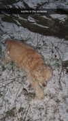 lew12001 Altpins Profile Picture
