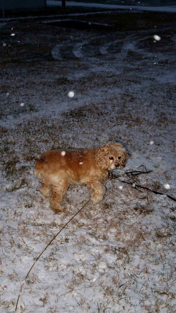 lew12001 snapchat image archive image