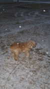 lew12001 Altpins Profile Picture