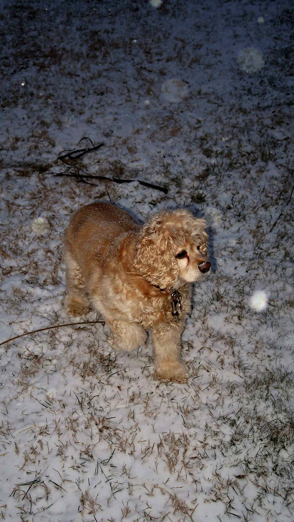 lew12001 snapchat image archive image