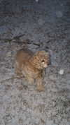 lew12001 Altpins Profile Picture