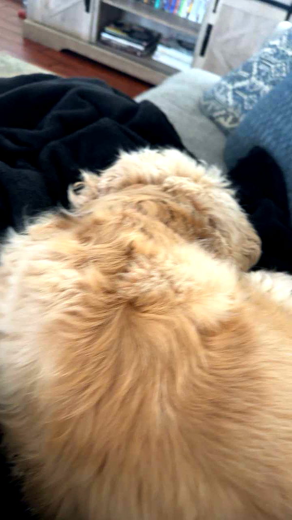 lew12001 snapchat image archive image