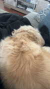lew12001 Altpins Profile Picture
