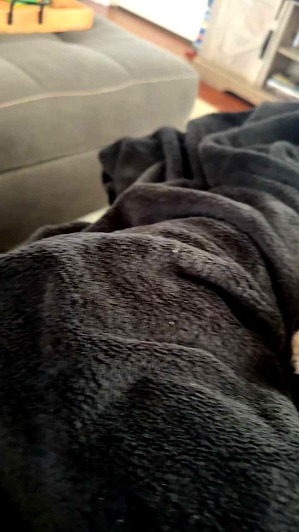 lew12001 snapchat image archive image