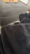 lew12001 Altpins Profile Picture
