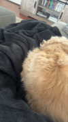 lew12001 Altpins Profile Picture