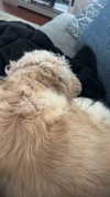 lew12001 Altpins Profile Picture