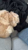 lew12001 Altpins Profile Picture
