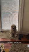 lew12001 Altpins Profile Picture