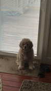 lew12001 Altpins Profile Picture