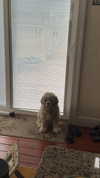 lew12001 Altpins Profile Picture