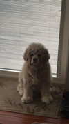 lew12001 Altpins Profile Picture