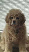 lew12001 Altpins Profile Picture