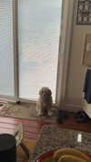 lew12001 Altpins Profile Picture