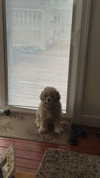 lew12001 Altpins Profile Picture