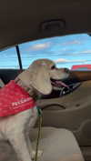 lew12001 Altpins Profile Picture