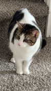 lew12001 Altpins Profile Picture