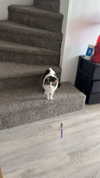 lew12001 Altpins Profile Picture