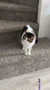 lew12001 Altpins Profile Picture