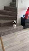 lew12001 Altpins Profile Picture