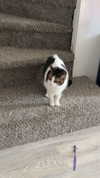 lew12001 Altpins Profile Picture