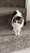 lew12001 Altpins Profile Picture
