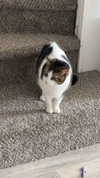 lew12001 Altpins Profile Picture