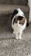 lew12001 Altpins Profile Picture