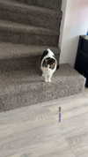 lew12001 Altpins Profile Picture