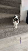 lew12001 Altpins Profile Picture