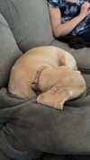 lew12001 Altpins Profile Picture