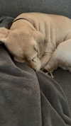 lew12001 Altpins Profile Picture