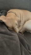 lew12001 Altpins Profile Picture