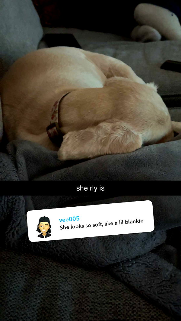 lew12001 snapchat image archive image