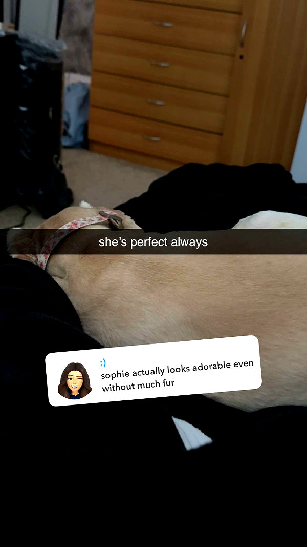lew12001 snapchat image archive image