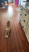 lew12001 Altpins Profile Picture