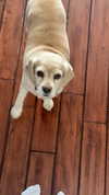 lew12001 Altpins Profile Picture