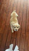 lew12001 Altpins Profile Picture