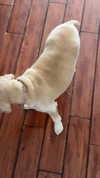 lew12001 Altpins Profile Picture