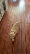 lew12001 Altpins Profile Picture