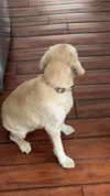 lew12001 Altpins Profile Picture