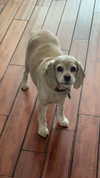 lew12001 Altpins Profile Picture