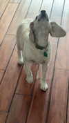 lew12001 Altpins Profile Picture