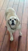 lew12001 Altpins Profile Picture