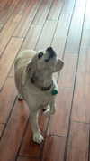 lew12001 Altpins Profile Picture