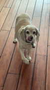 lew12001 Altpins Profile Picture