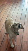 lew12001 Altpins Profile Picture