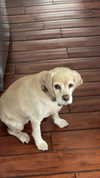 lew12001 Altpins Profile Picture