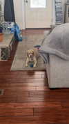 lew12001 Altpins Profile Picture